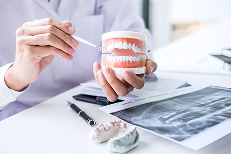 Elite Dental Club