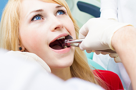 Elite Dental Club